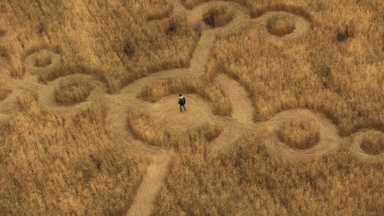 Disclosure Day movie still